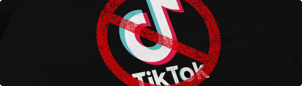 TikTok Banned Reasons